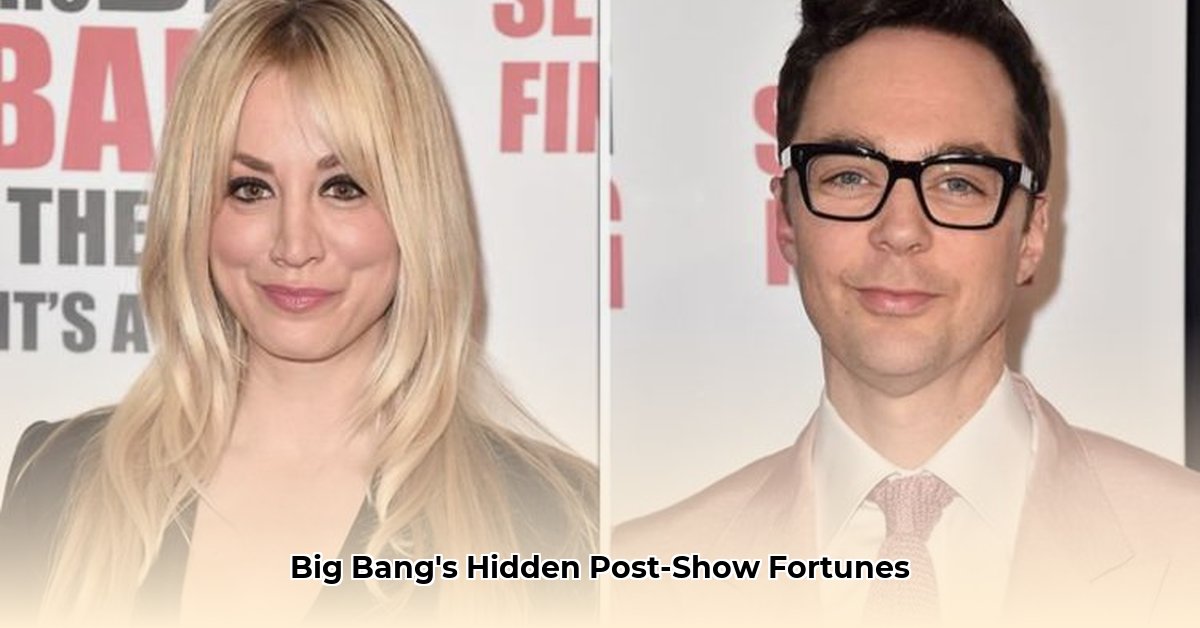 big-bang-cast-net-worth